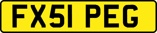 FX51PEG