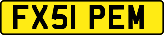 FX51PEM
