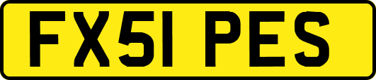 FX51PES