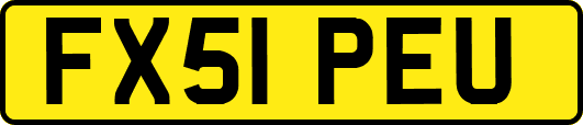 FX51PEU