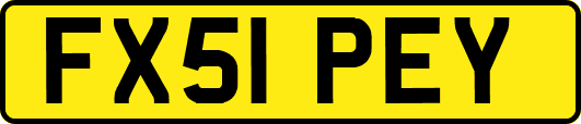 FX51PEY