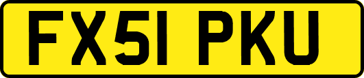 FX51PKU