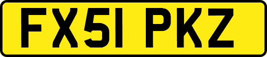FX51PKZ