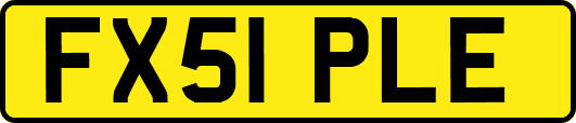 FX51PLE