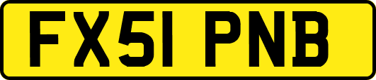 FX51PNB