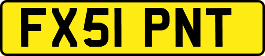 FX51PNT