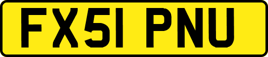 FX51PNU