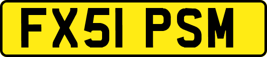 FX51PSM