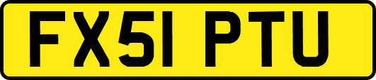 FX51PTU