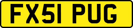 FX51PUG