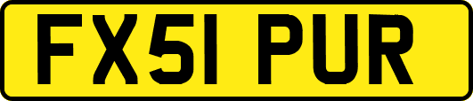 FX51PUR