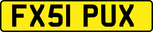 FX51PUX