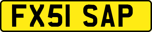 FX51SAP