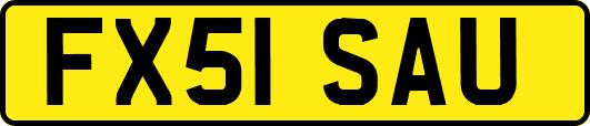 FX51SAU