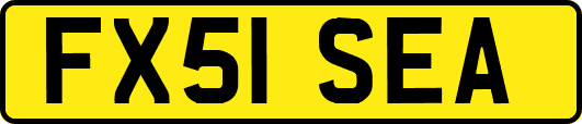 FX51SEA
