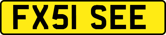 FX51SEE