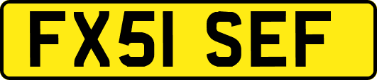 FX51SEF