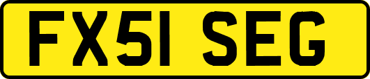 FX51SEG