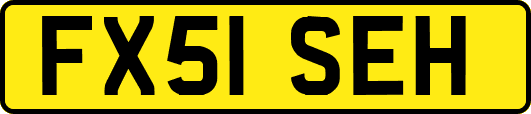 FX51SEH