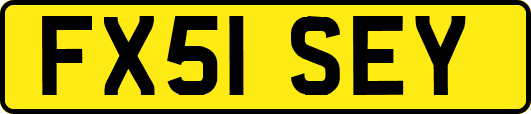 FX51SEY