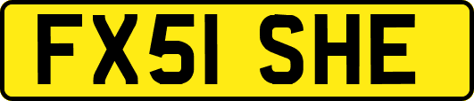 FX51SHE