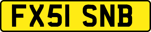 FX51SNB