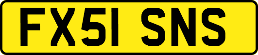FX51SNS