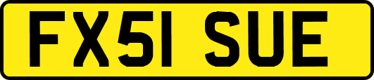 FX51SUE