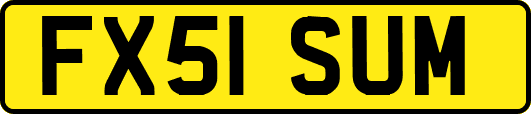 FX51SUM