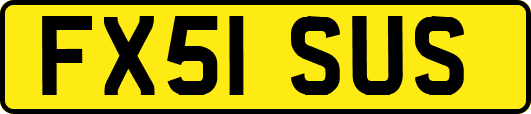 FX51SUS