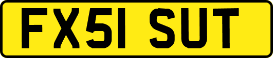 FX51SUT