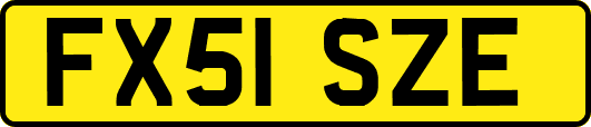 FX51SZE