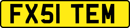FX51TEM