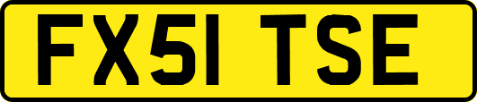 FX51TSE
