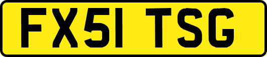 FX51TSG
