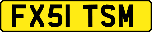 FX51TSM