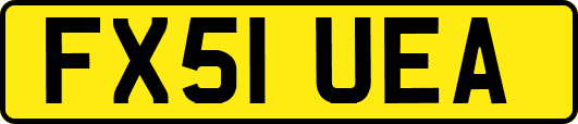 FX51UEA