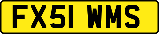 FX51WMS