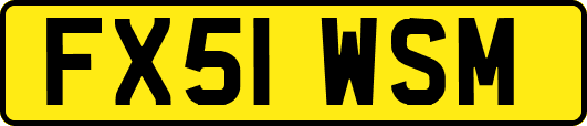 FX51WSM