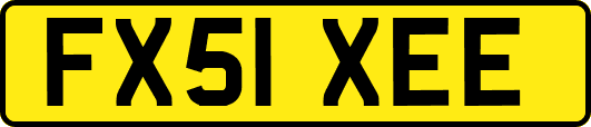 FX51XEE