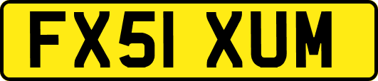 FX51XUM