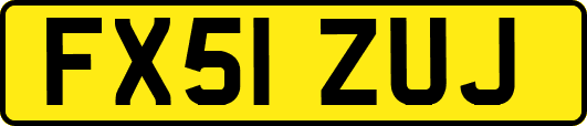 FX51ZUJ