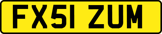FX51ZUM