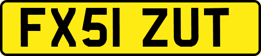 FX51ZUT