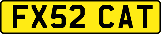 FX52CAT