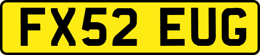 FX52EUG
