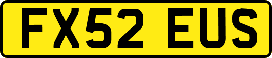 FX52EUS