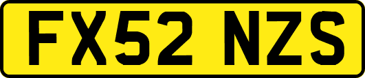 FX52NZS