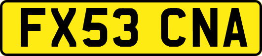 FX53CNA