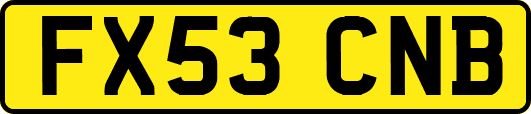 FX53CNB
